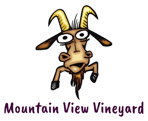 mountain view vineyard logo
