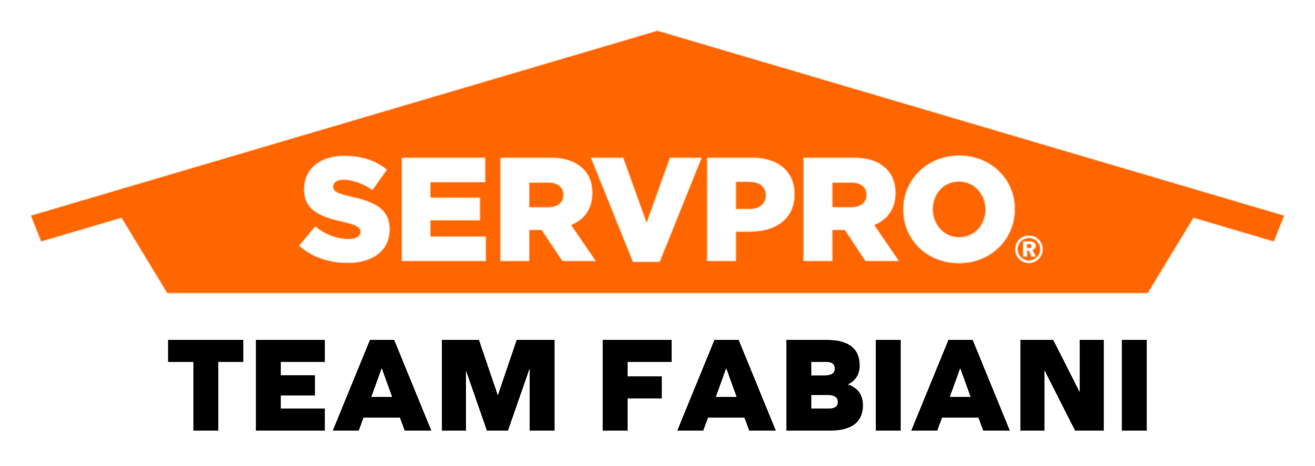 team fabiani wo buffer (1) (1)