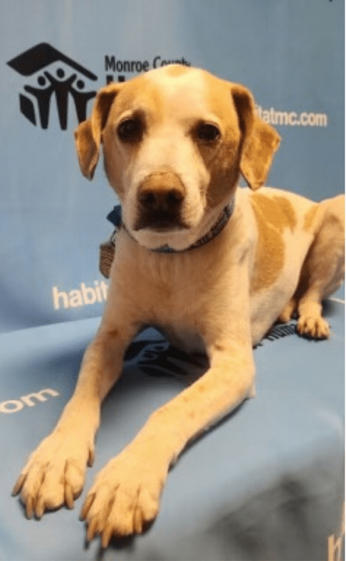 happy p staff photo 2